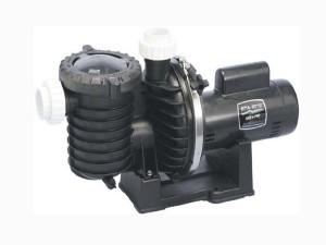 brandon pool service