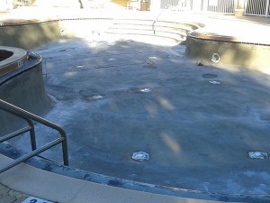 tampa weekly pool service