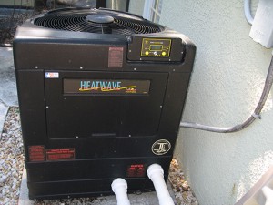 pool service near me