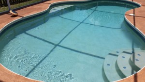 temple terrace weekly pool service