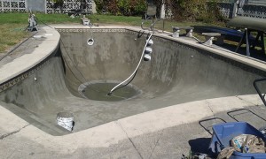 seffner weekly pool service